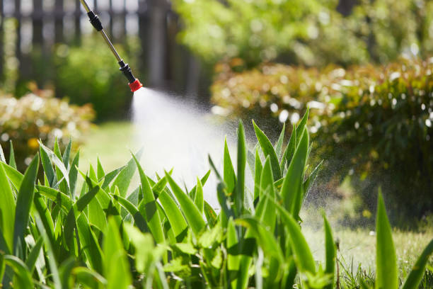 24/7 Emergency Wasp Removal experts in Penn State Erie, PA
