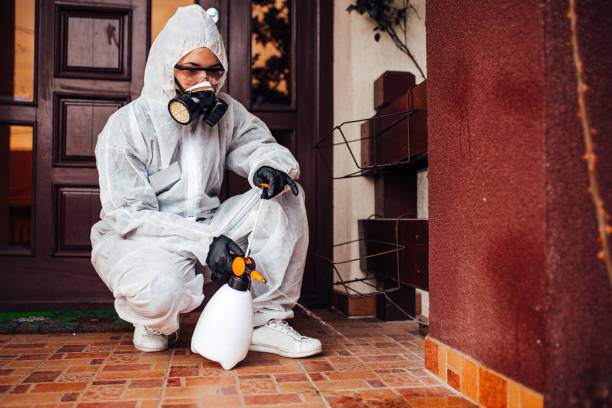 Reliable Wasp Removal contractor in Penn State Erie, PA by Show Me Pest Control