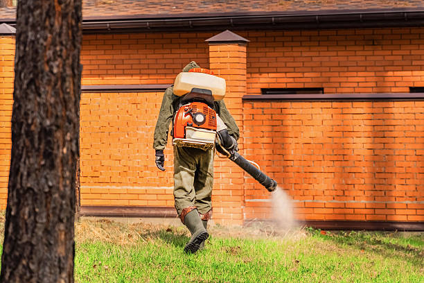 Top rated local Wasp Removal specialists in Penn State Erie, PA